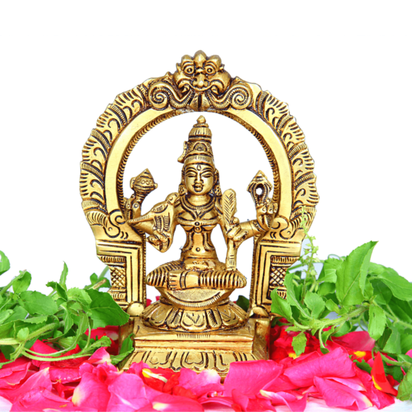 Kamakshi Amman Idol With Thiruvachi