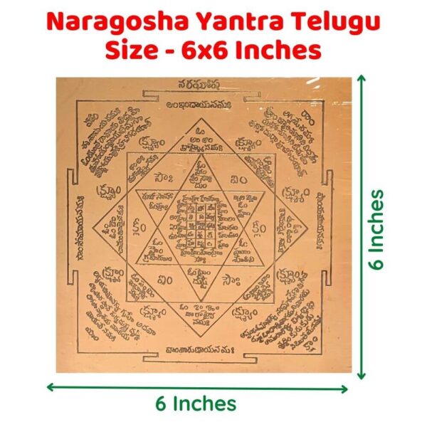 Nara Drishti Nivarana Yantra